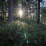 Апартаменты Gemuetliche In By Interhome