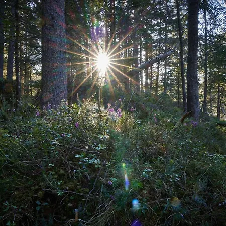 Apartment Gemuetliche In By Interhome