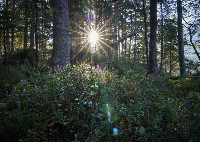 Apartment Gemuetliche In By Interhome